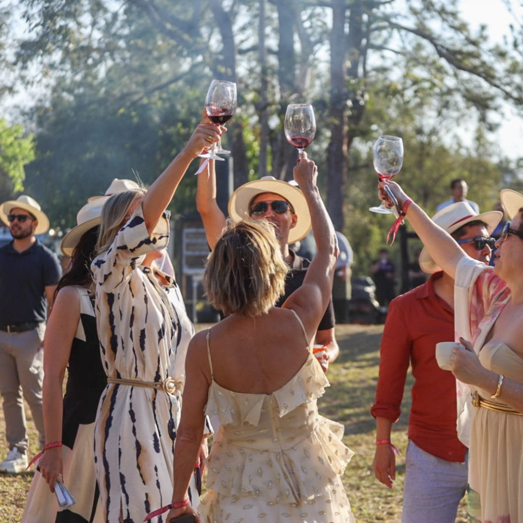 Vendimia VIK Brasil: A FESTA DO VINHO